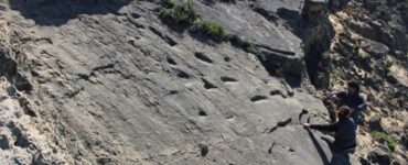 orme