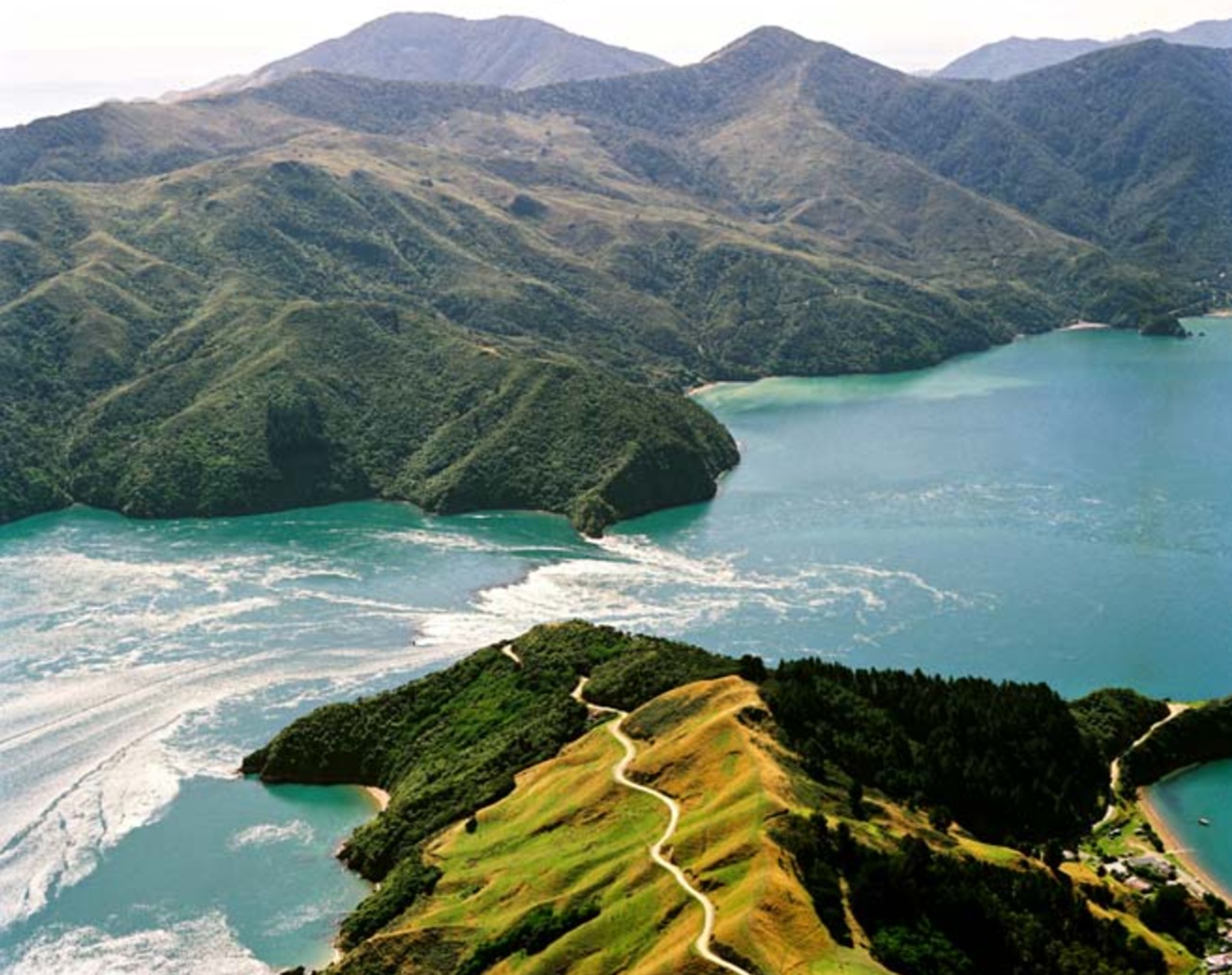 Pelorus Jack Franch Pass