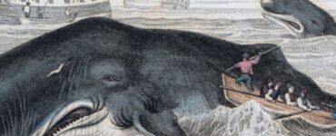 Spánverjavígin: la mattanza dei baschi compiuta in Islanda nel 1615