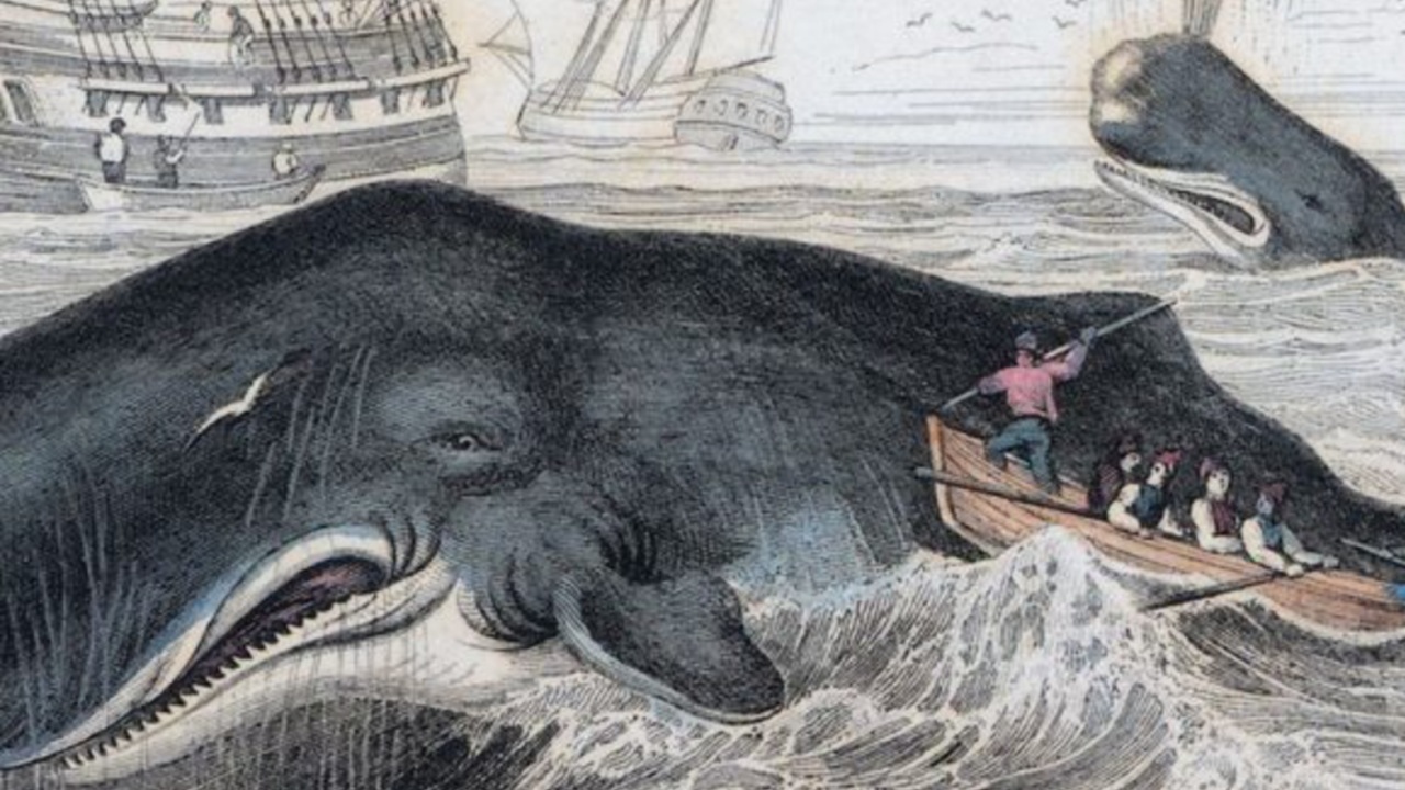 Spánverjavígin: la mattanza dei baschi compiuta in Islanda nel 1615