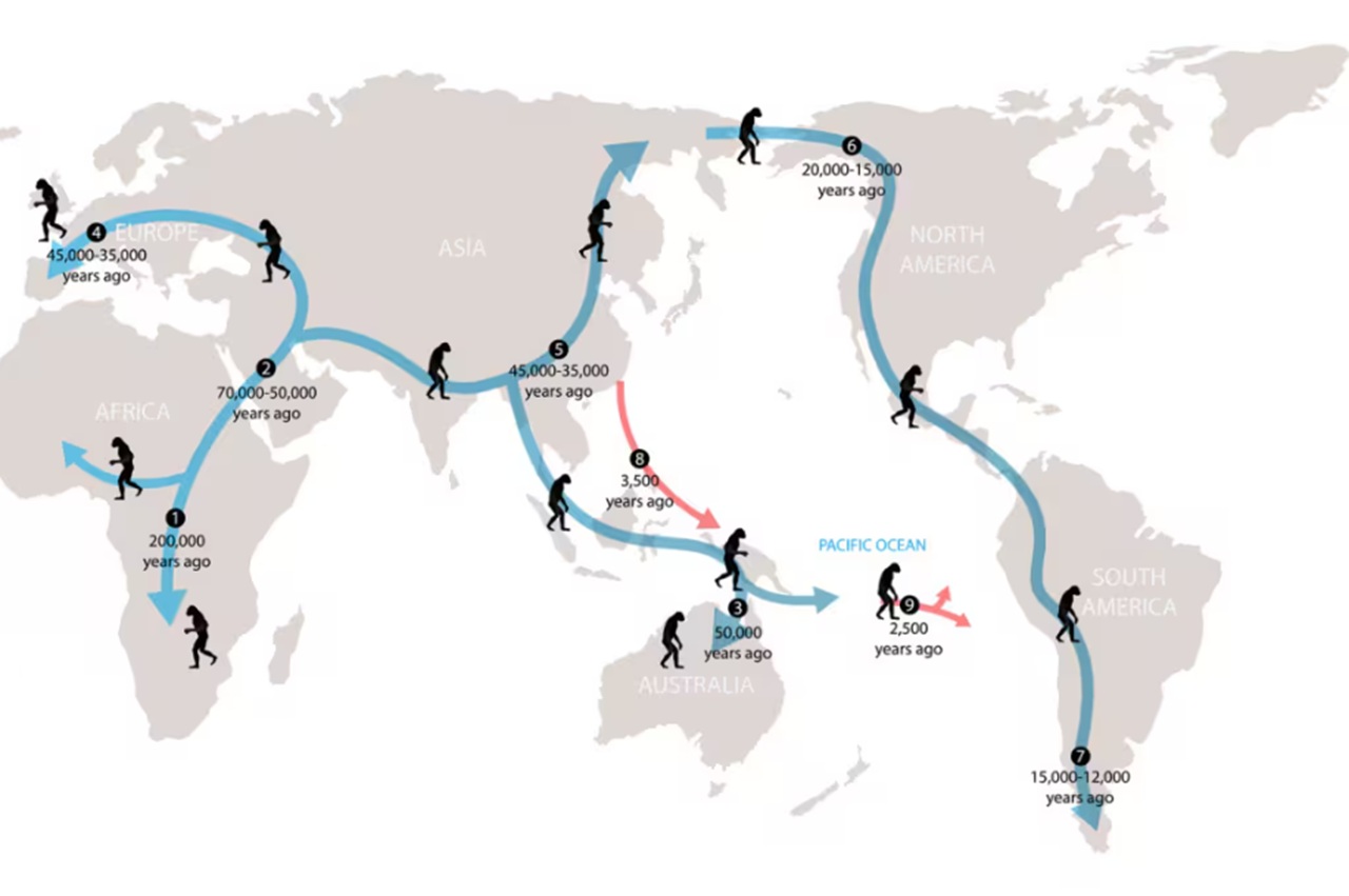 evoluzione umana migrazione Homo sapiens