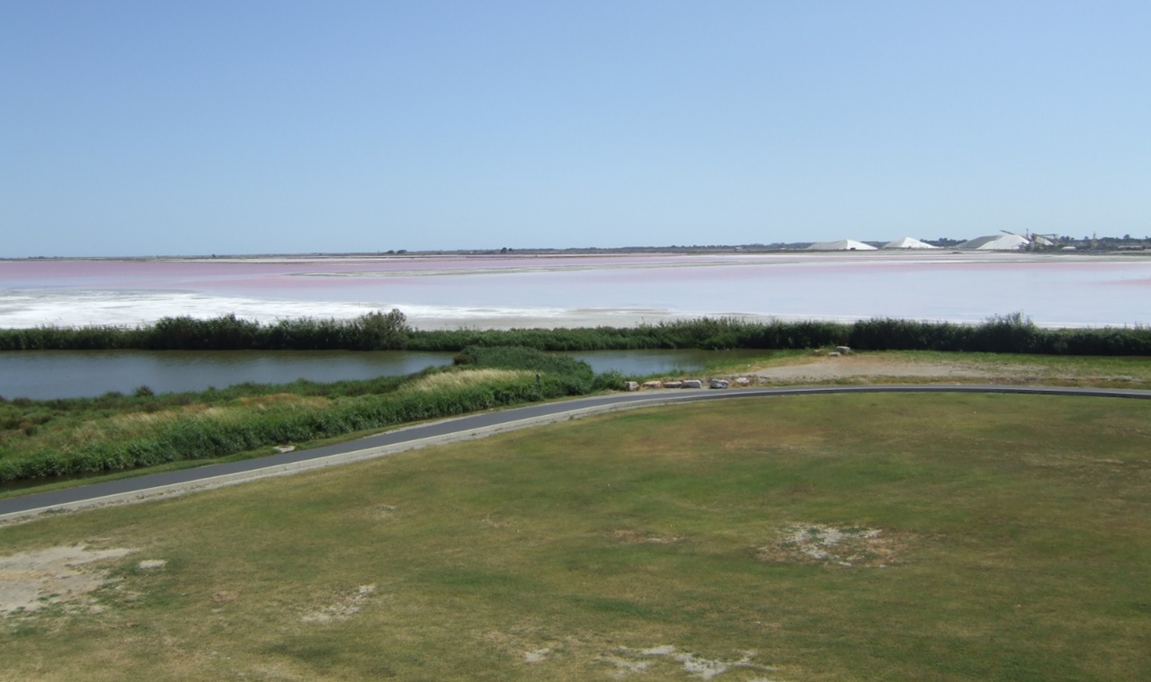 Aigues-Mortes saline