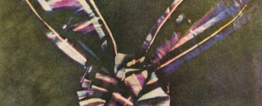 Foto del giorno: la prima volta a colori