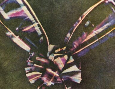 Foto del giorno: la prima volta a colori