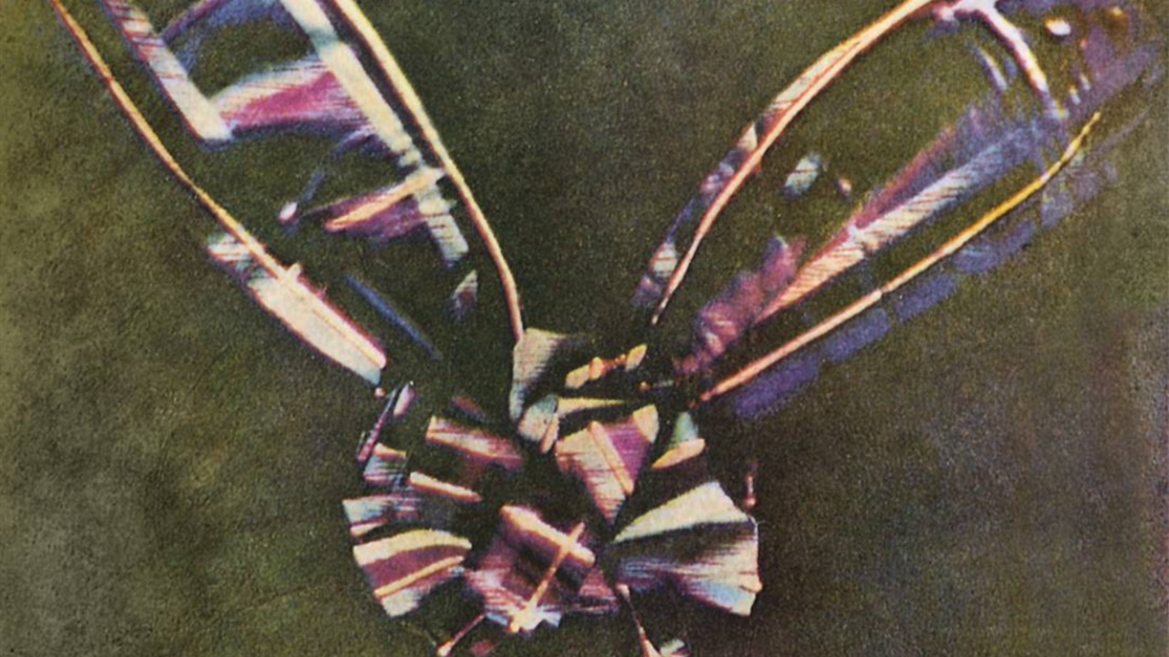 Foto del giorno: la prima volta a colori