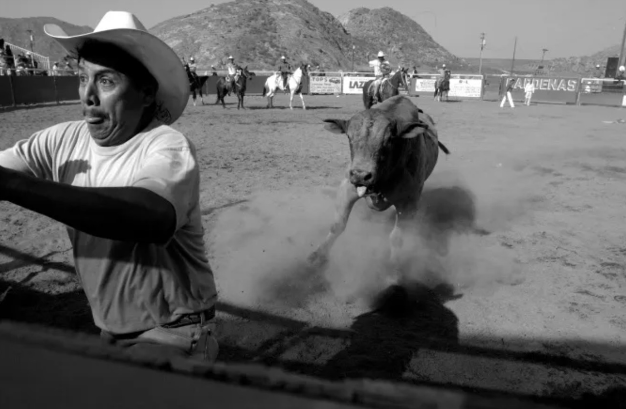 rodeo Valdez caricato dal toro