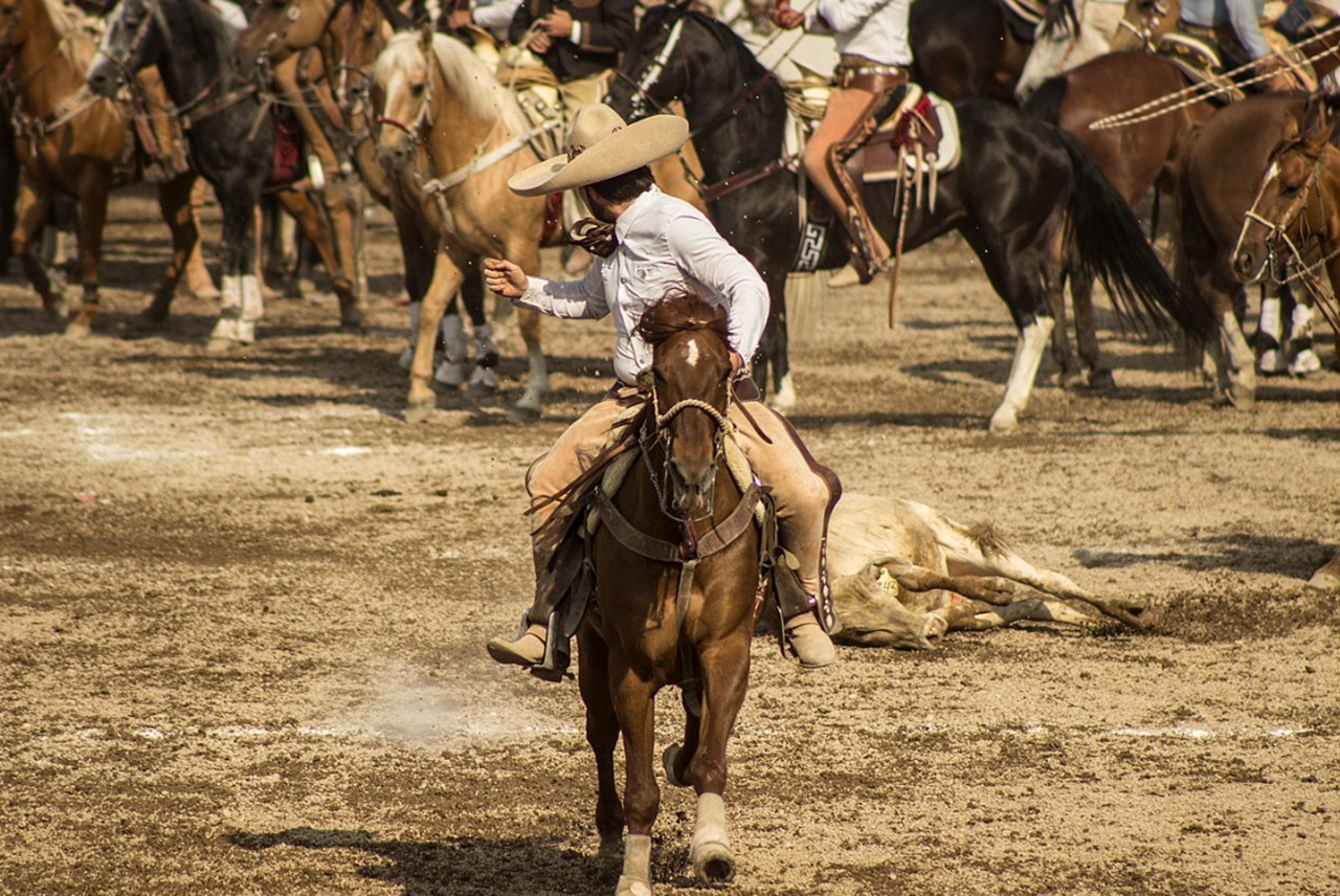 rodeo jaripeo messicano