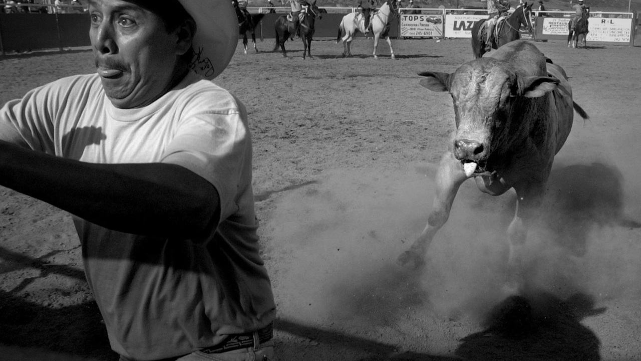 Foto del giorno: un normalissimo rodeo messicano