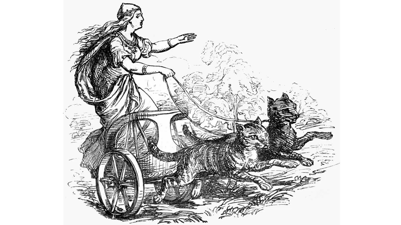 freyja gatti