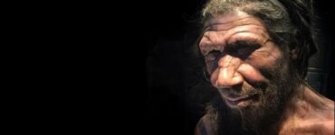gene neanderthal