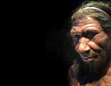 gene neanderthal