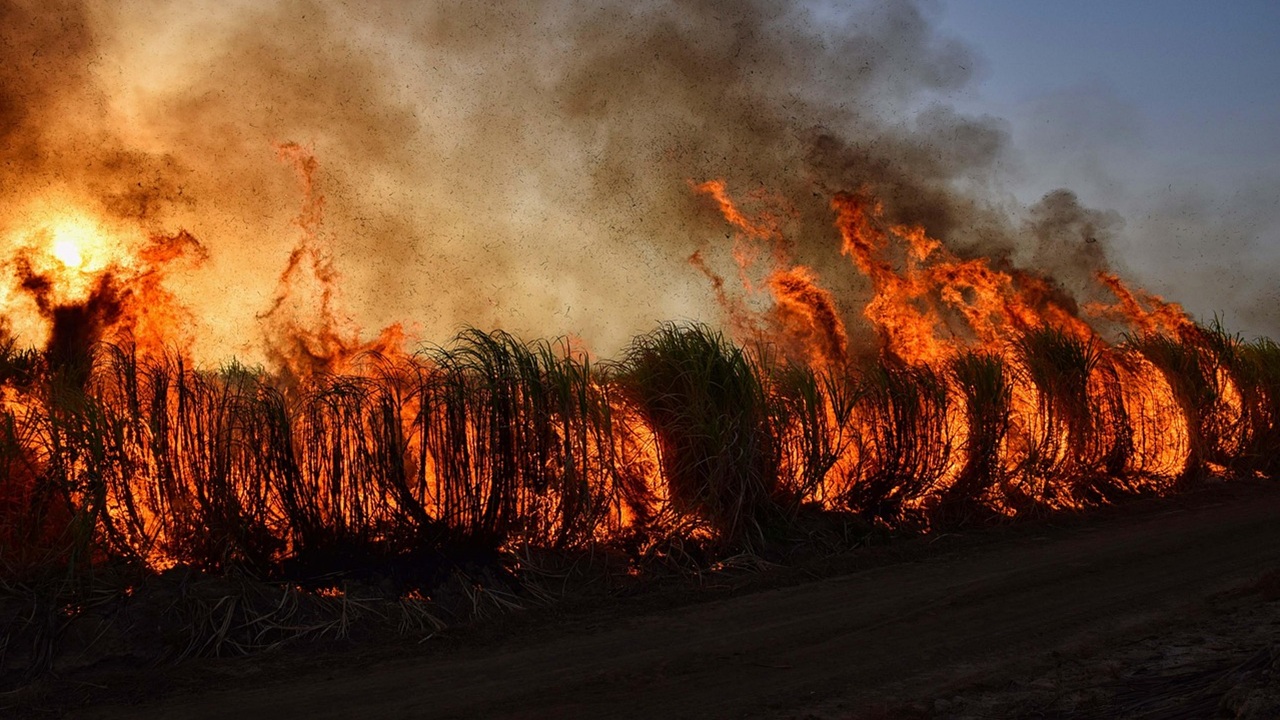 incendio