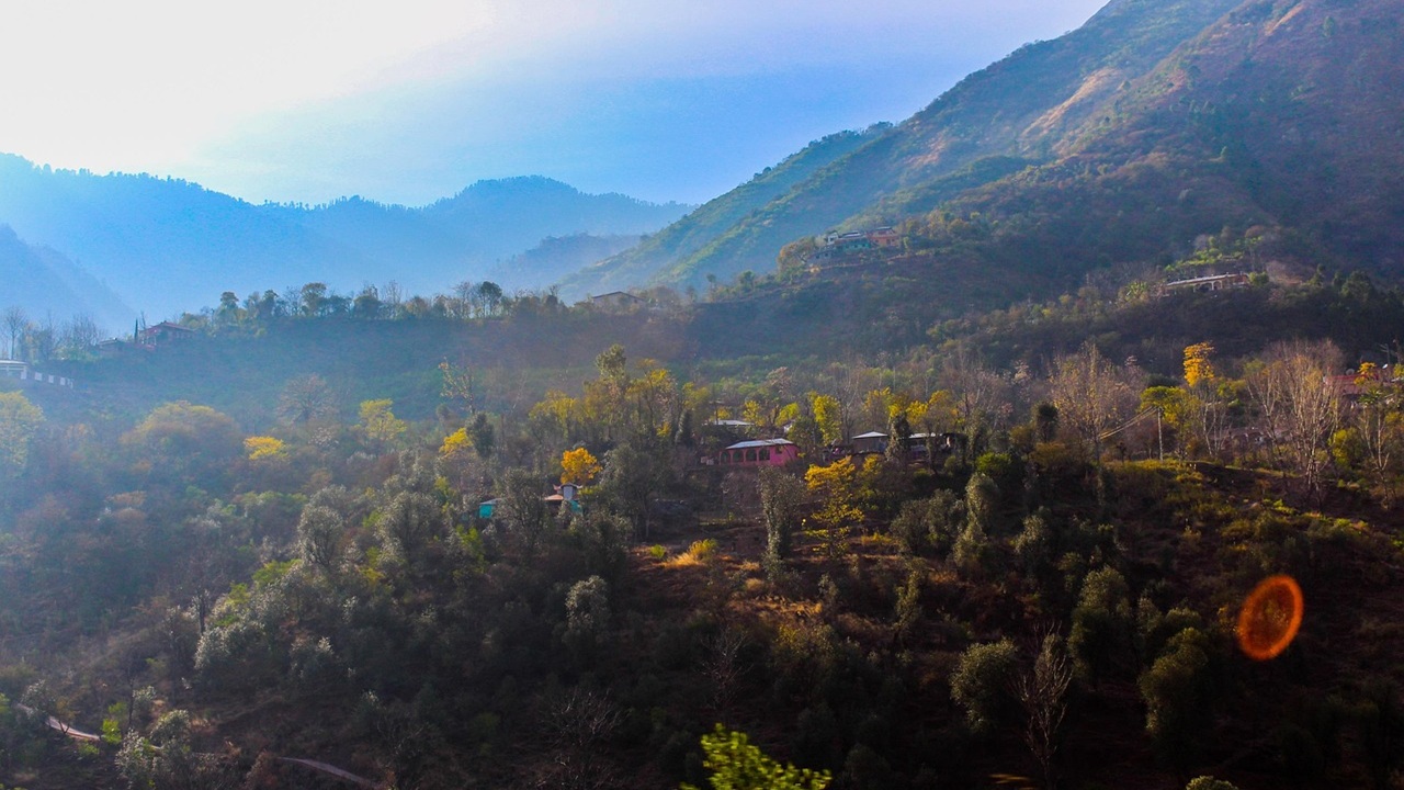 kashmir