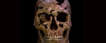 teschio freccia quarzo