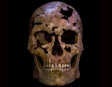 teschio freccia quarzo