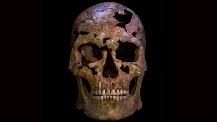 teschio freccia quarzo