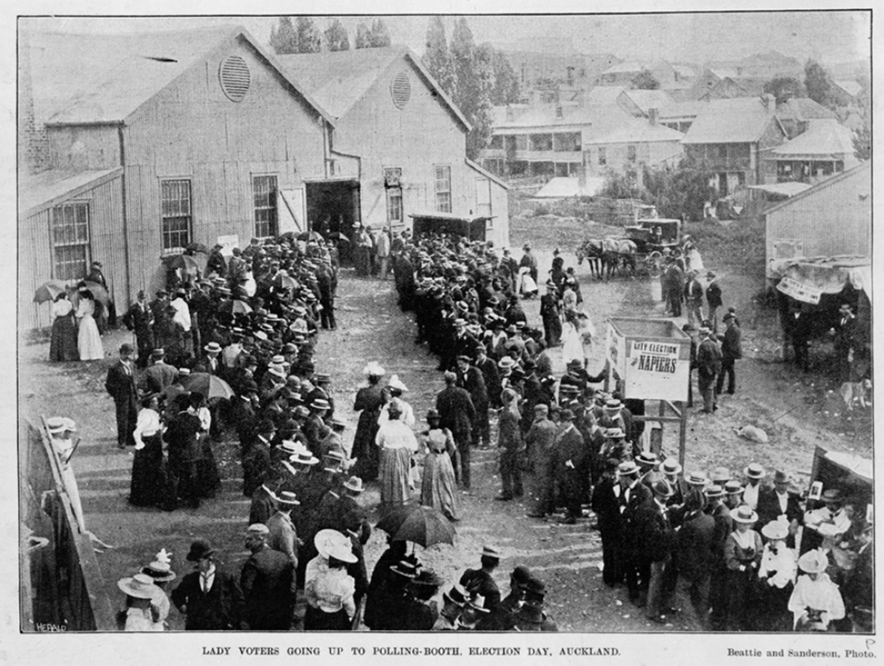 19 settembre elezioni novembre 1893 Auckland