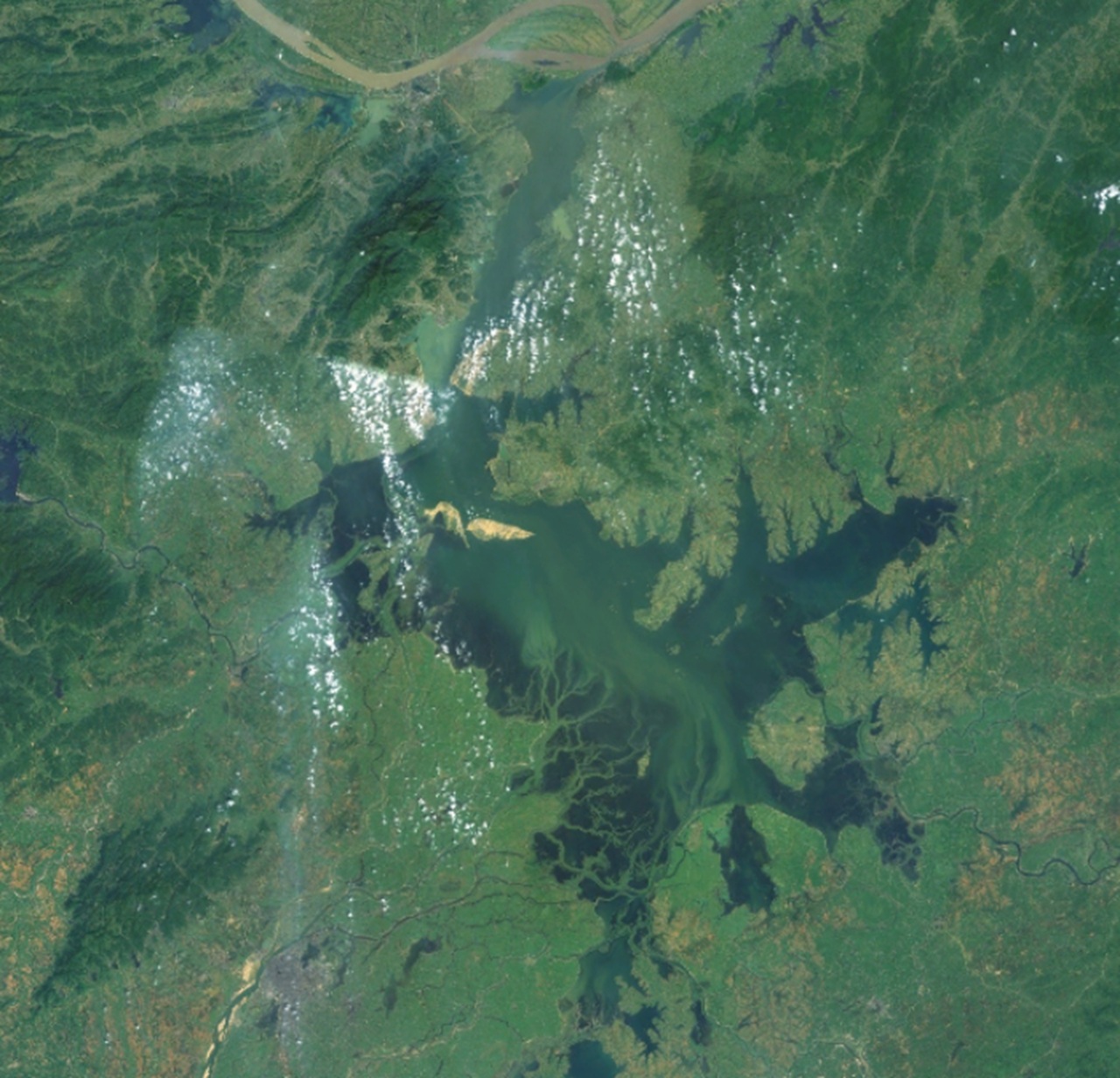 4 ottobre lago Poyang, Cina