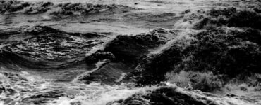 Foto del giorno: il mare in terra, la catastrofica alluvione del Polesine
