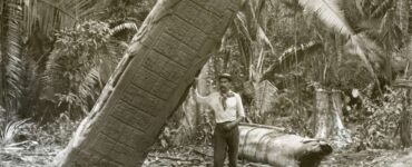 Foto del giorno: il monolite maya di Quiriguá