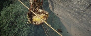 Foto del giorno: spericolati cacciatori del miele in Nepal