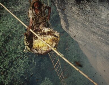 Foto del giorno: spericolati cacciatori del miele in Nepal