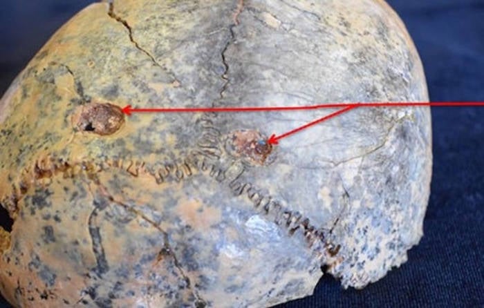 leopardi cranio uomini primitivi