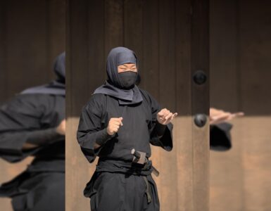 ninja