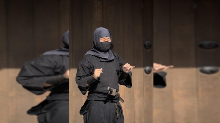 ninja