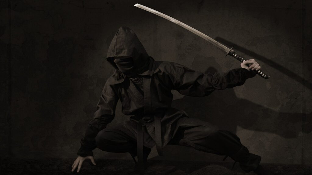 ninja videogame
