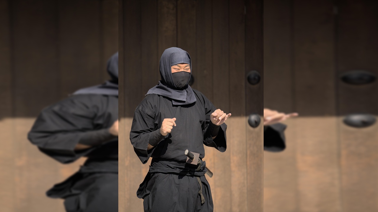 ninja