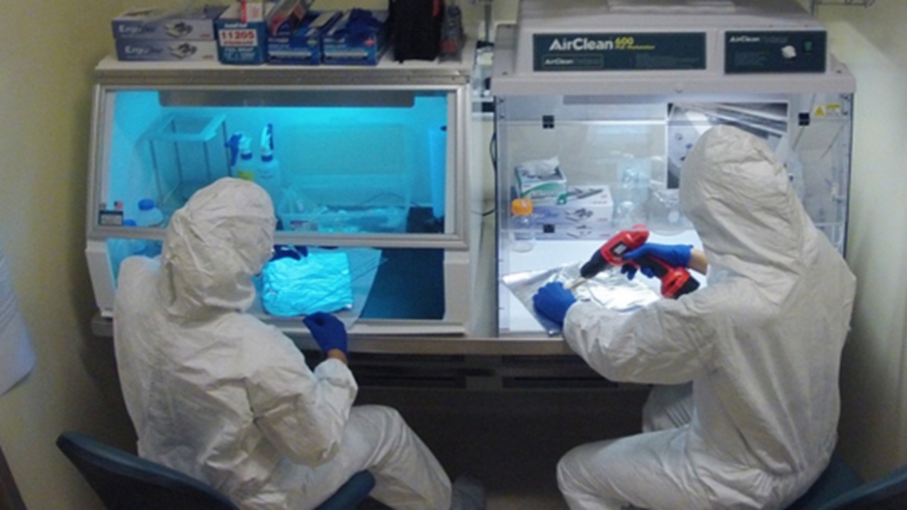 pandemia laboratorio