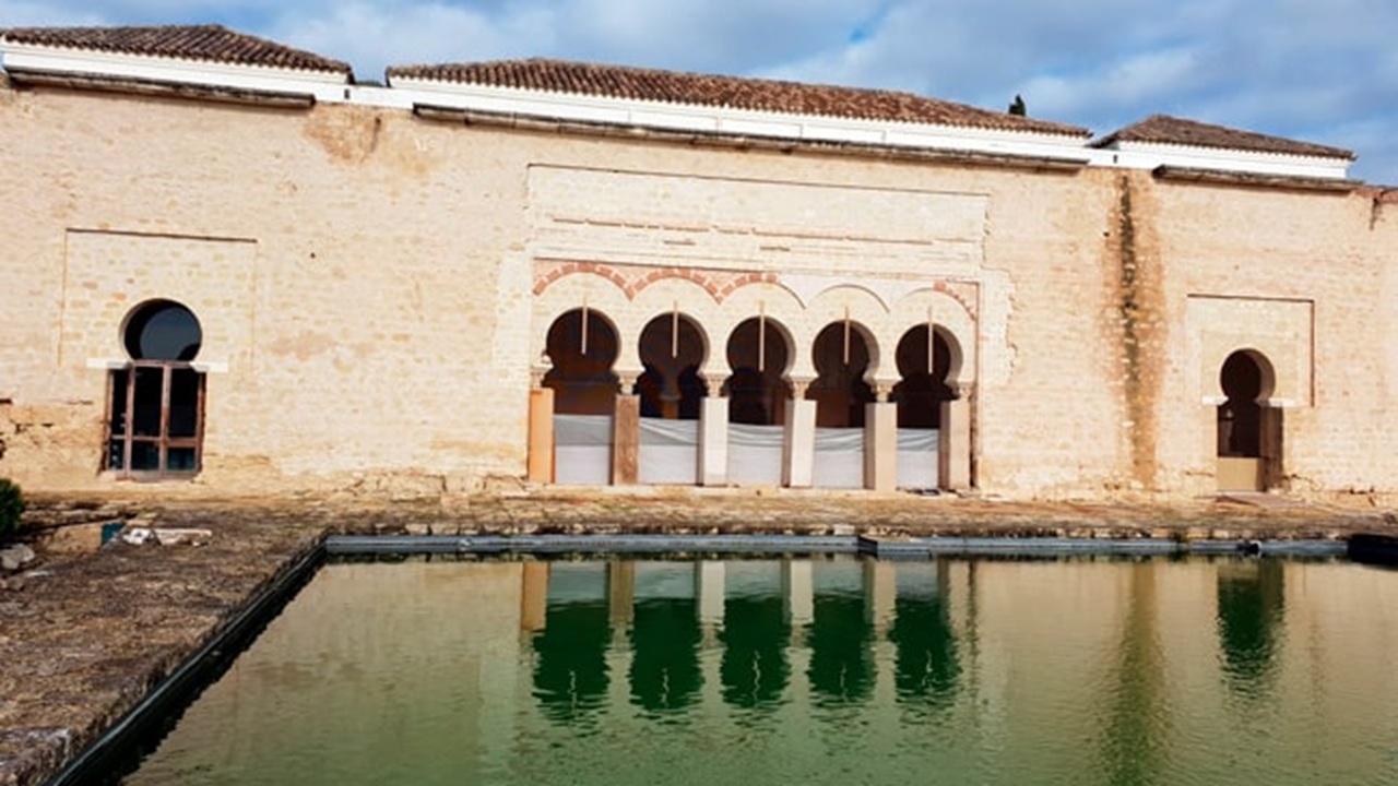 stagno medina