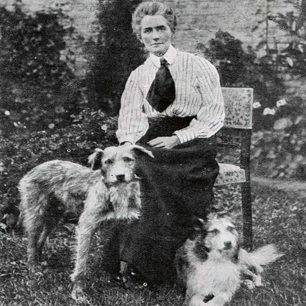 12 ottobre foto Cavell coi suoi cani
