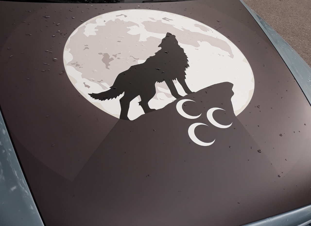 3 novembre Lupi Grigi