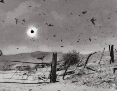 Foto del giorno: l'eclissi del secolo