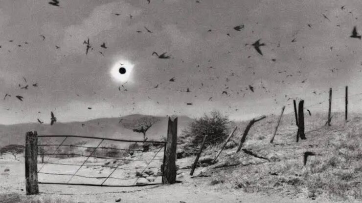 Foto del giorno: l'eclissi del secolo