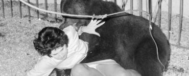 Foto del giorno: la bella e la bestia