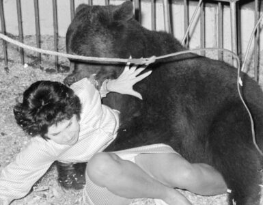 Foto del giorno: la bella e la bestia