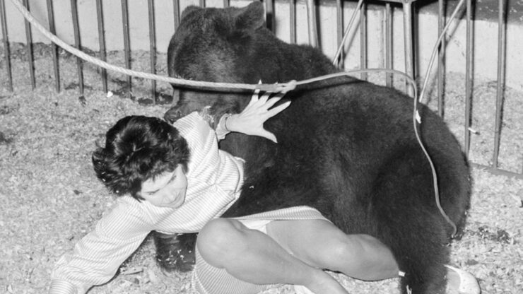 Foto del giorno: la bella e la bestia