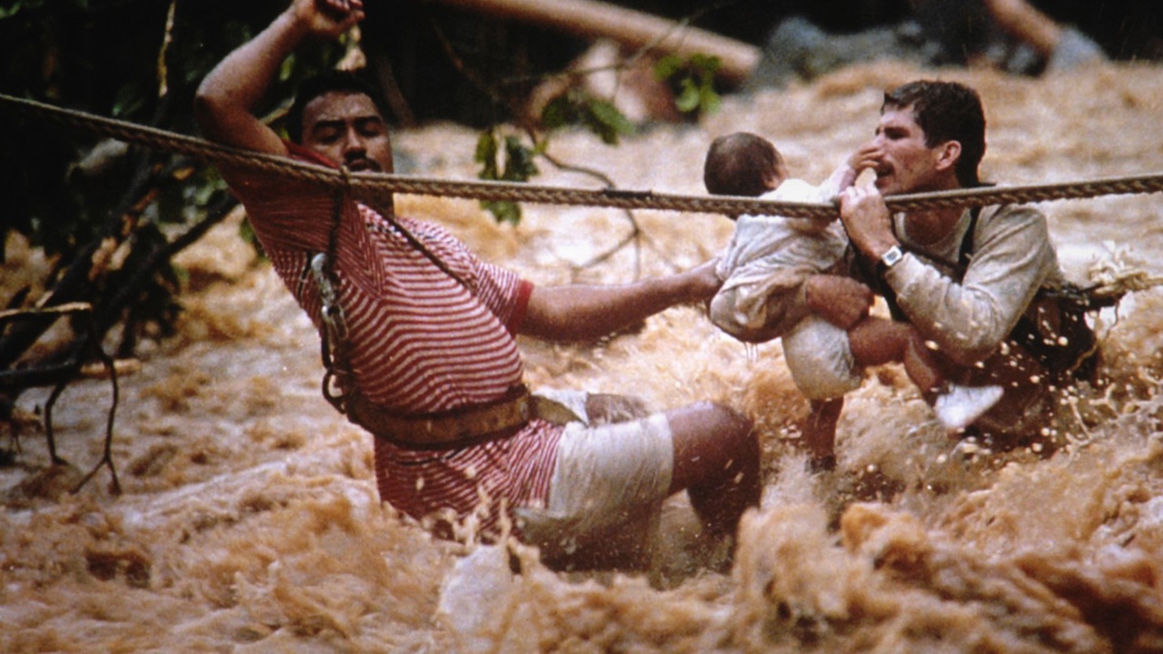 Foto del giorno: salvare Cassandra