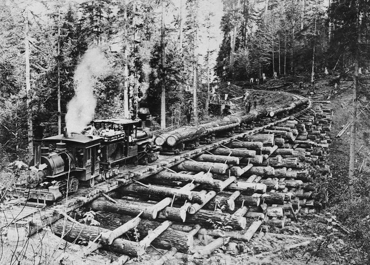 ponte Oregon tronchi