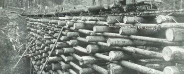 Foto del giorno: un modestissimo ponte in Oregon