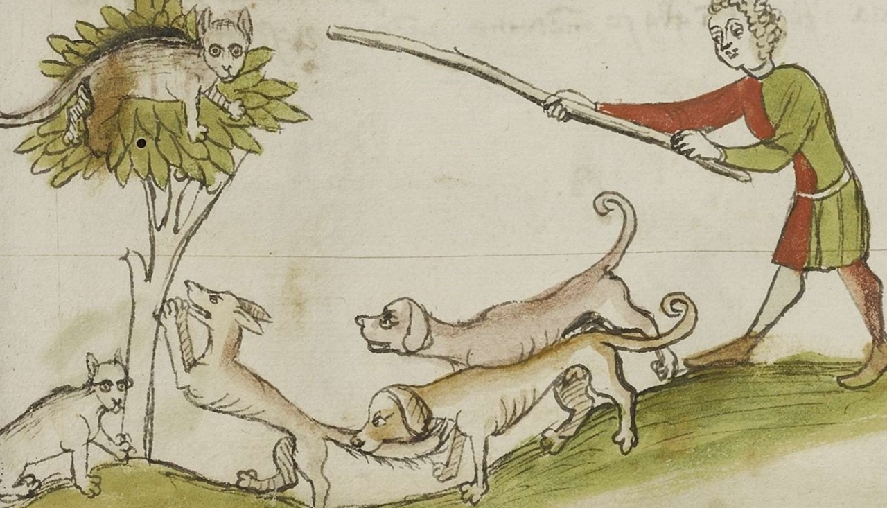 gatti demonizzati Medioevo