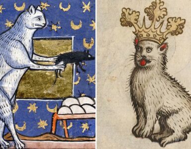 Gatti nel Medioevo, tutto fuorché belli