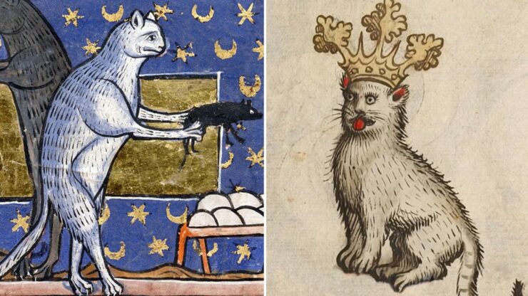 Gatti nel Medioevo, tutto fuorché belli