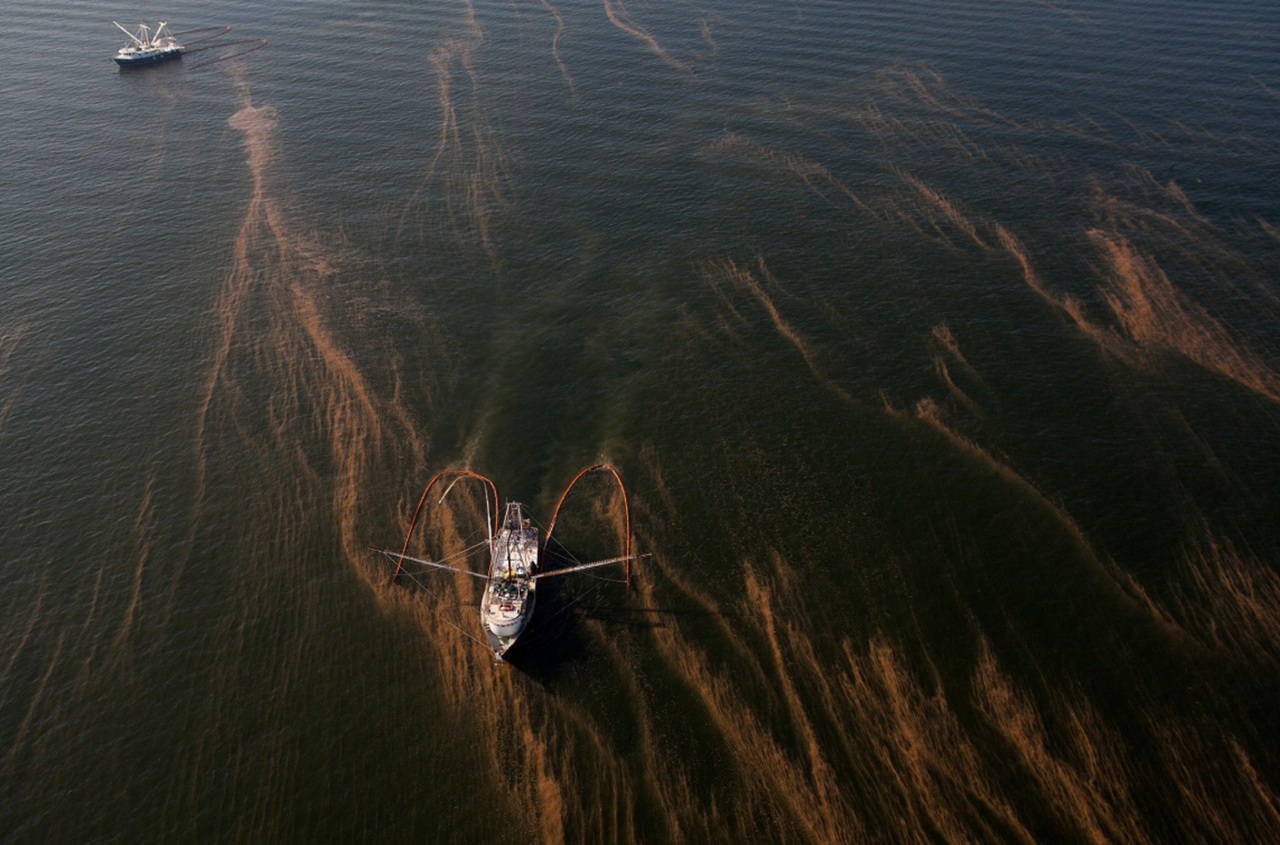 Deepwater Horizon acque contaminate