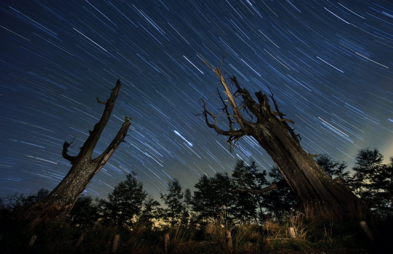 tempesta meteorica Leonidi