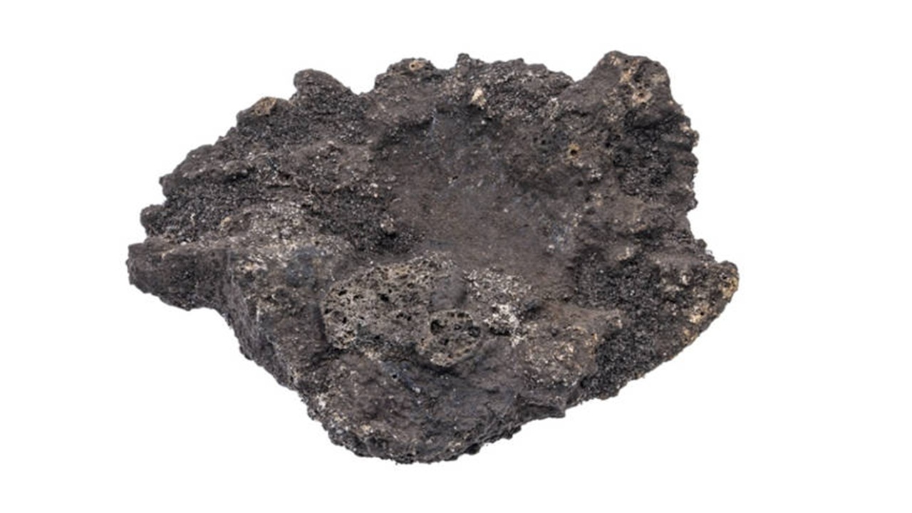 neurochirurgia ferro