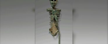 scheletro, larva convivialis